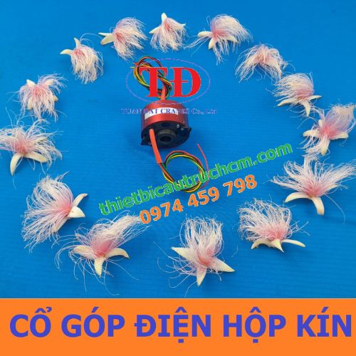 co-gop-dien-hop-kin